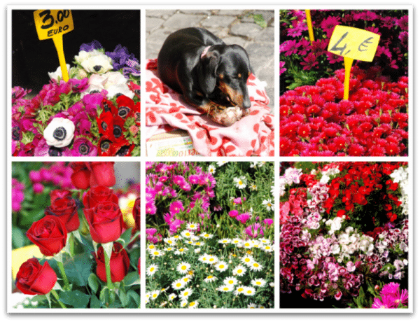 Campo de Fiori: las flores Campo de Fiori: las flores