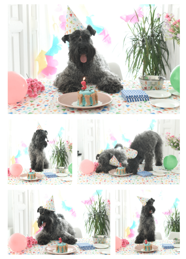 Cumpleaños Camilo 24FEB2017