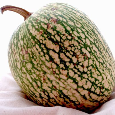 Calabaza de cidra para hacer cabello de ángel