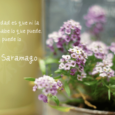 Saramago se ha ido