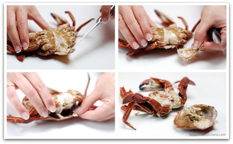 Como se abre una nécora para degustarla Como se abre una nécora para degustarla
