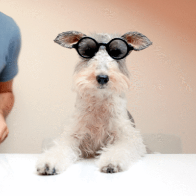 Mis dos chicos en la foto, y Willy tan gracioso con sus gafas