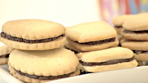 Galletas "Principe" con Thermomix