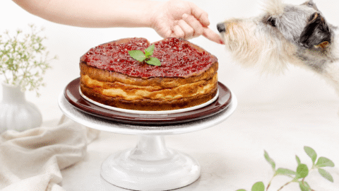 Tarta de queso fresco de la ‘Pepa’