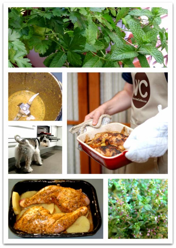 El Willy estaba como loco con el pollo. Olía y sabía de maravilla :) El Willy estaba como loco con el pollo. Olía y sabía de maravilla :)