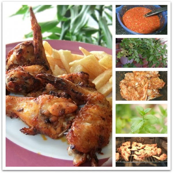 Las alitas de pollo adobadas de Beatriz Las alitas de pollo adobadas de Beatriz