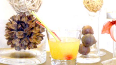 Lady Sour, bebida sin alcohol en Thermomix