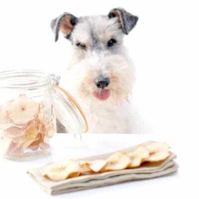 Chips de manzana y Willy