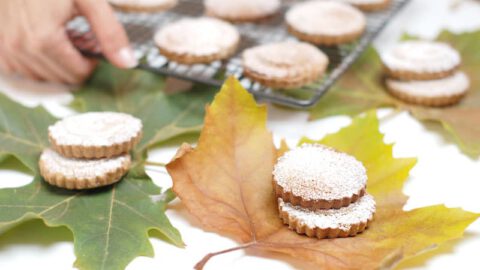 Mantecados de canela con Thermomix