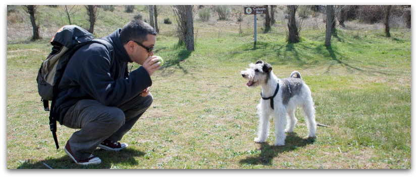 Willy y Javi, jugando