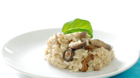Risotto de setas variadas