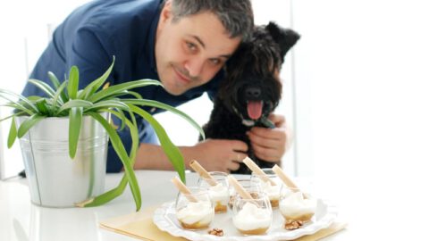 Vasitos de yogur griego y miel