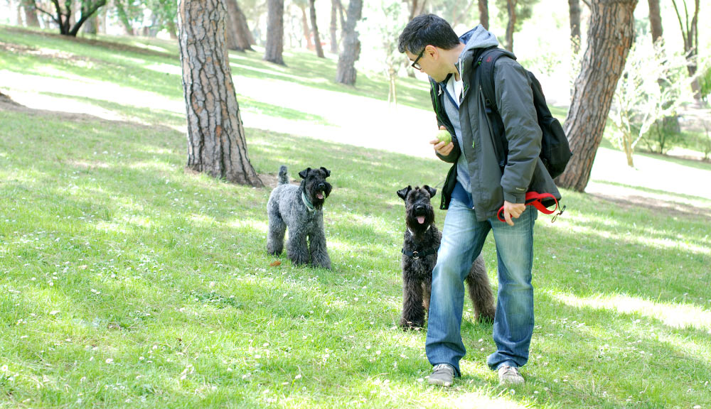 Clara y Camilo jugando en el Parque del Oeste Clara y Camilo jugando en el Parque del Oeste