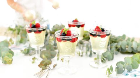Gelatina de champán con frutos rojos