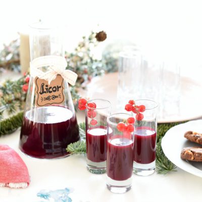 Licor de Frutos rojos con Thermomix®