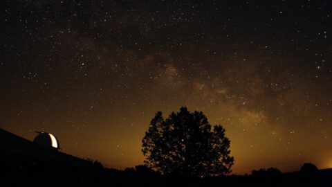 Starlight, una reserva del cielo