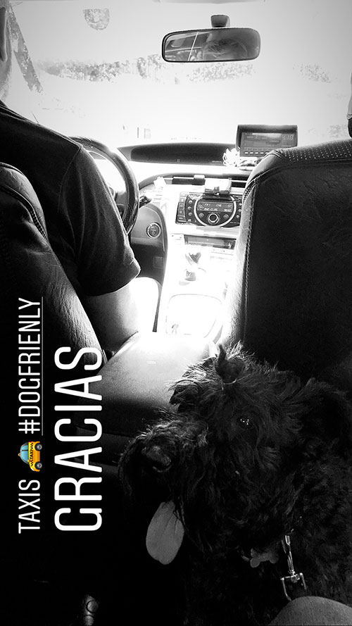 Clarita en Taxi por Madrid
