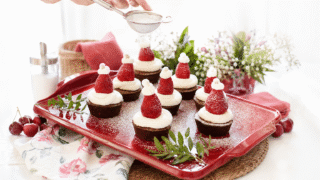 Brownie Noel