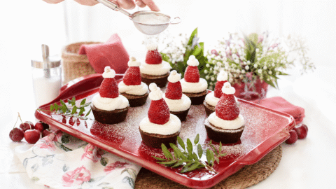 Brownie Noel